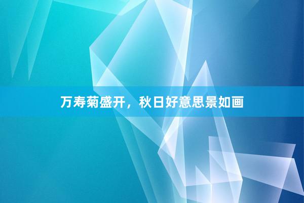 万寿菊盛开，秋日好意思景如画