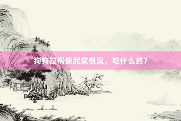 狗狗拉稀像泥浆很臭，吃什么药？