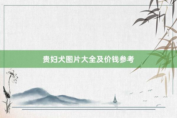 贵妇犬图片大全及价钱参考
